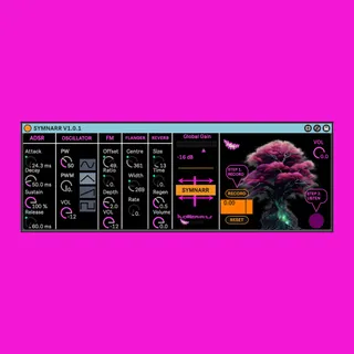 SYMNARR screenshot