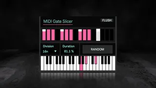 MIDI Gate Slicer screenshot
