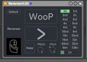 Reverser screenshot