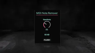 MIDI Note Remover screenshot