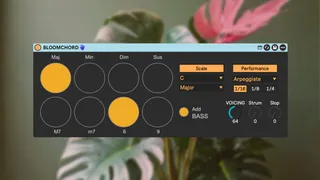 BLOOMCHORD screenshot