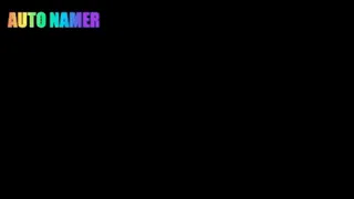 Auto Namer by Steve Nash screenshot