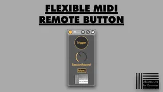 Flexible MIDI Remote Button screenshot