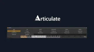 Articulate screenshot